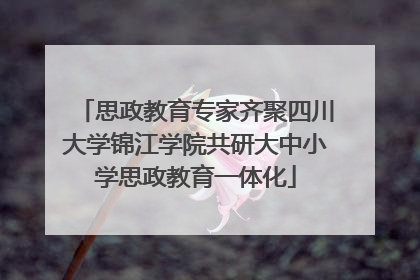 思政教育专家齐聚四川大学锦江学院共研大中小学思政教育一体化