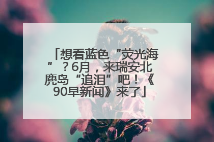 想看蓝色“荧光海”？6月，来瑞安北麂岛“追泪”吧！《90早新闻》来了
