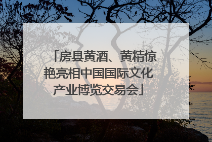 房县黄酒、黄精惊艳亮相中国国际文化产业博览交易会