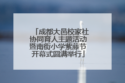 成都大邑校家社协同育人主题活动暨南街小学紫藤节开幕式圆满举行