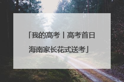 我的高考丨高考首日 海南家长花式送考