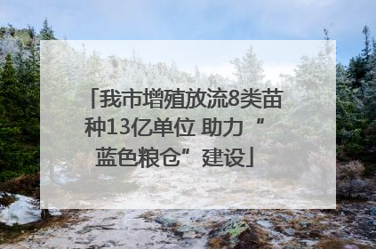 我市增殖放流8类苗种13亿单位 助力“蓝色粮仓”建设