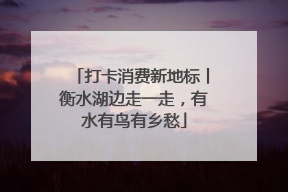 打卡消费新地标丨衡水湖边走一走，有水有鸟有乡愁