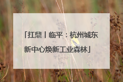 扛鼎丨临平：杭州城东新中心焕新工业森林