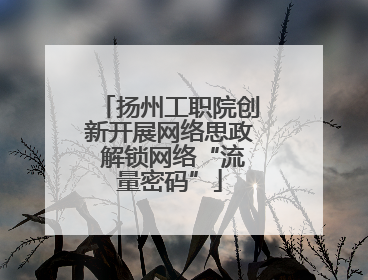 扬州工职院创新开展网络思政 解锁网络“流量密码”