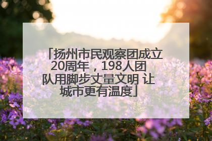 扬州市民观察团成立20周年，198人团队用脚步丈量文明 让城市更有温度