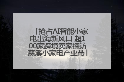 抢占AI智能小家电出海新风口 超100家跨境卖家探访慈溪小家电产业带