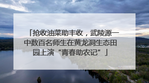 抢收油菜助丰收，武陵源一中数百名师生在黄龙洞生态田园上演“青春助农记”