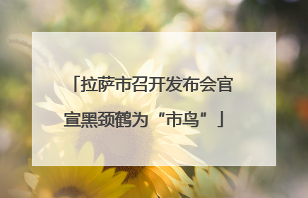 拉萨市召开发布会官宣黑颈鹤为“市鸟”