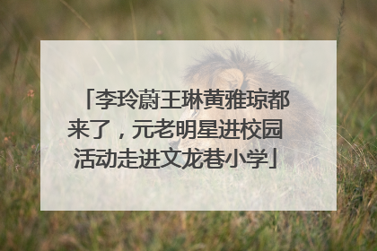 李玲蔚王琳黄雅琼都来了，元老明星进校园活动走进文龙巷小学