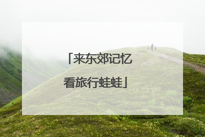 来东郊记忆 看旅行蛙蛙