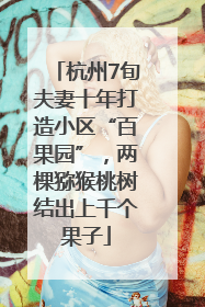 杭州7旬夫妻十年打造小区“百果园”，两棵猕猴桃树结出上千个果子