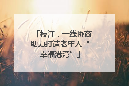 枝江：一线协商助力打造老年人“幸福港湾”