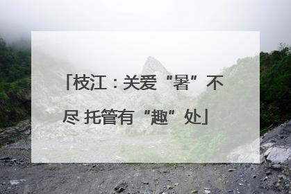 枝江：关爱“暑”不尽 托管有“趣”处