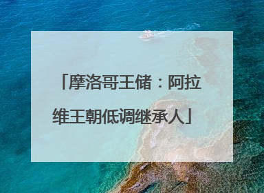摩洛哥王储：阿拉维王朝低调继承人