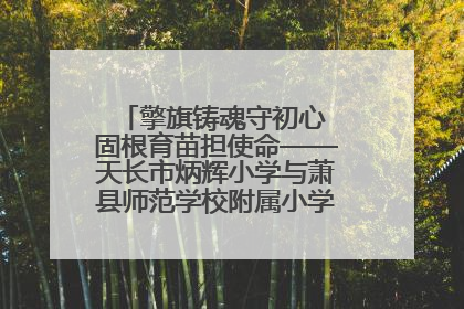 擎旗铸魂守初心 固根育苗担使命——天长市炳辉小学与萧县师范学校附属小学结对共建活动纪实