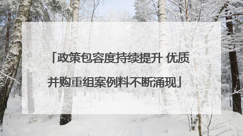 政策包容度持续提升 优质并购重组案例料不断涌现