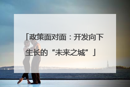政策面对面：开发向下生长的“未来之城”