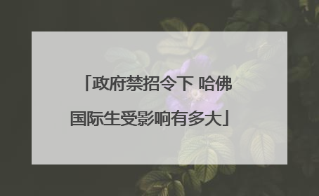 政府禁招令下 哈佛国际生受影响有多大