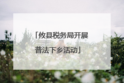 攸县税务局开展普法下乡活动