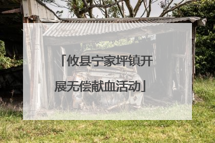 攸县宁家坪镇开展无偿献血活动