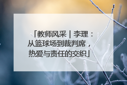 教师风采｜李理：从篮球场到裁判席，热爱与责任的交织