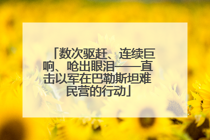 数次驱赶、连续巨响、呛出眼泪——直击以军在巴勒斯坦难民营的行动