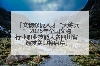 文物修复人才“大练兵” 2025年全国文物行业职业技能大赛四川省选拔赛即将启幕
