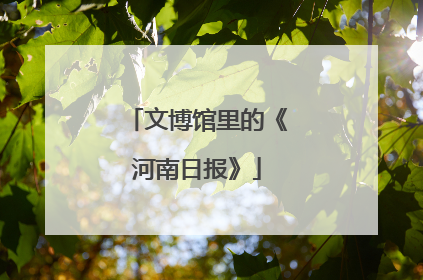 文博馆里的《河南日报》