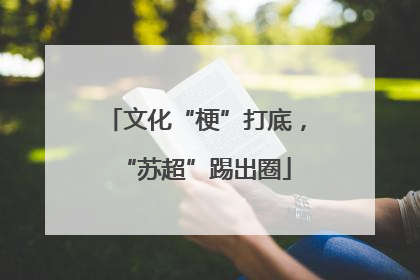 文化“梗”打底，“苏超”踢出圈
