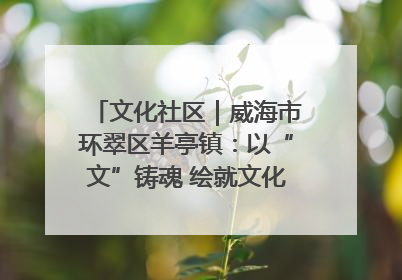 文化社区｜威海市环翠区羊亭镇：以“文”铸魂 绘就文化社区新画卷