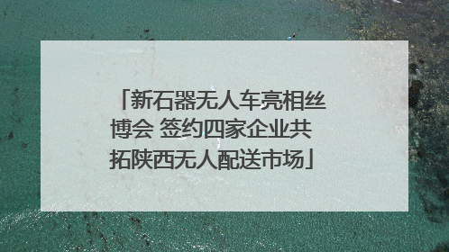 新石器无人车亮相丝博会 签约四家企业共拓陕西无人配送市场