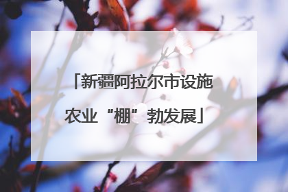 新疆阿拉尔市设施农业“棚”勃发展