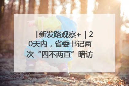 新发路观察+｜20天内，省委书记两次“四不两直”暗访，有何深意？