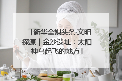 新华全媒头条·文明探源｜金沙遗址：太阳神鸟起飞的地方