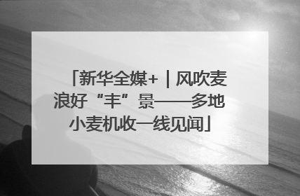 新华全媒+｜风吹麦浪好“丰”景——多地小麦机收一线见闻