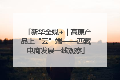 新华全媒+｜高原产品上“云”端——西藏电商发展一线观察