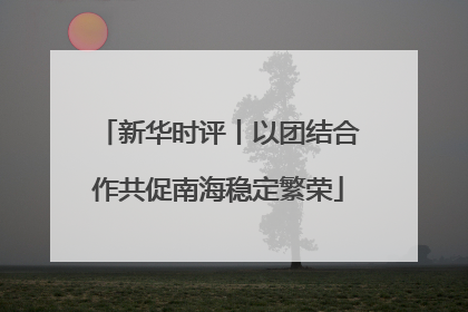 新华时评丨以团结合作共促南海稳定繁荣