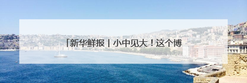 新华鲜报丨小中见大！这个博览会专为全球中小企业搭台