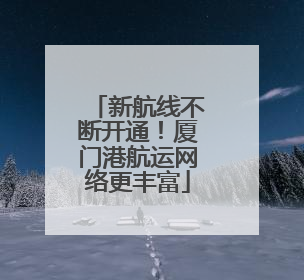 新航线不断开通！厦门港航运网络更丰富