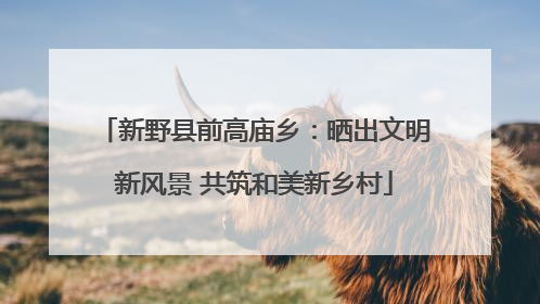 新野县前高庙乡：晒出文明新风景 共筑和美新乡村