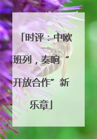 时评：中欧班列，奏响“开放合作”新乐章
