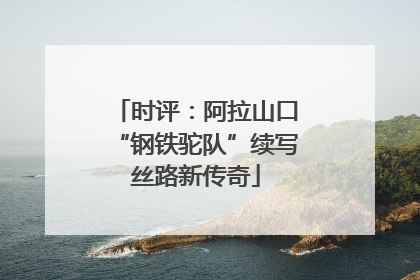 时评：阿拉山口“钢铁驼队”续写丝路新传奇