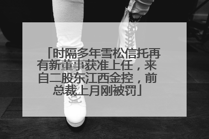 时隔多年雪松信托再有新董事获准上任，来自二股东江西金控，前总裁上月刚被罚