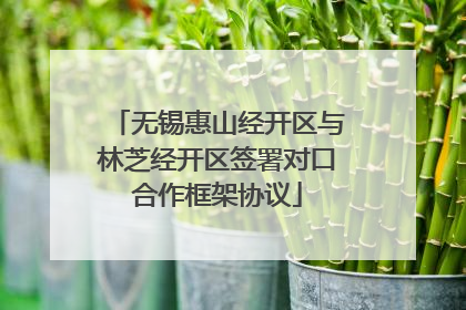 无锡惠山经开区与林芝经开区签署对口合作框架协议