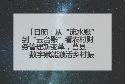 日照：从“流水账”到“云台账”看农村财务管理新变革，莒县——数字赋能激活乡村振兴“一池春水”