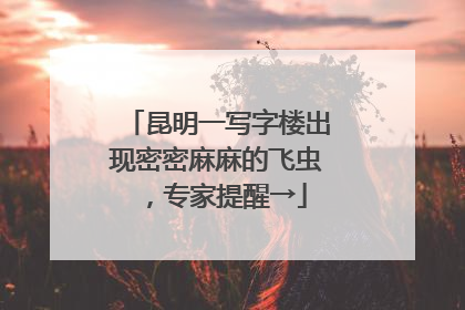 昆明一写字楼出现密密麻麻的飞虫，专家提醒→