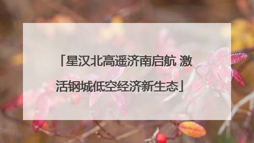 星汉北高遥济南启航 激活钢城低空经济新生态