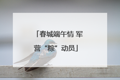 春城端午情 军营“粽”动员