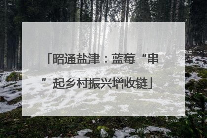 昭通盐津：蓝莓“串”起乡村振兴增收链
